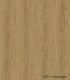 Pavimento Vinílico SPC Flutuante CARVALHO NATURAL Best Floor 520 5,5 mm