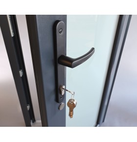 Porta Exterior Aluplast PVC Vidro Fosco 80x200cm Antracite Esquerda