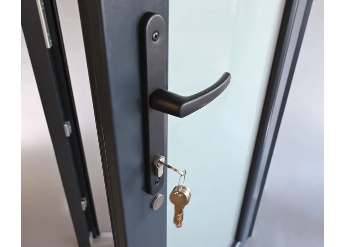 Porta Exterior Aluplast PVC Vidro Fosco 80x200cm Antracite Esquerda