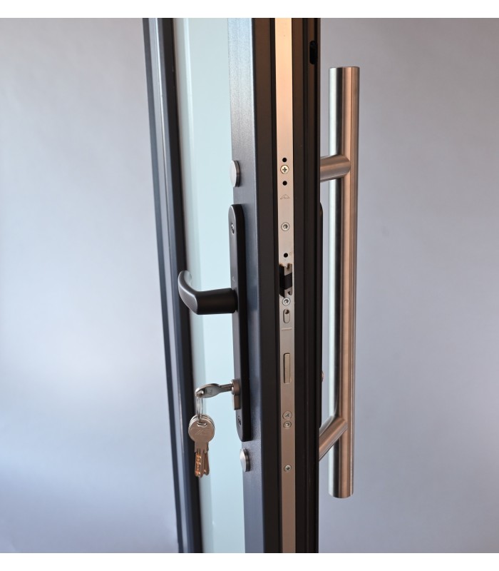 Porta Exterior Aluplast PVC Vidro Fosco 90x200cm Antracite Direita